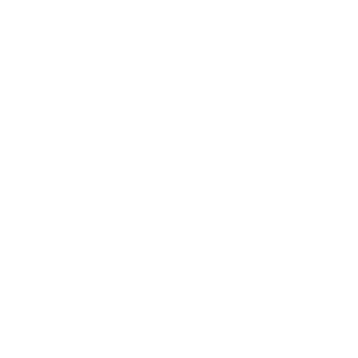 CSS logo